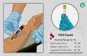 Average CD3 Count