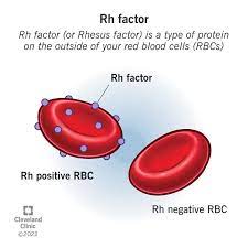 Blood Grouping & RH Typing