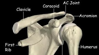 CT Shoulder Joint  LEFT