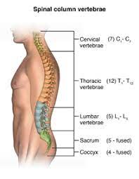 CT Spine