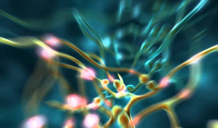 Calcium Channel Abs (N-type)