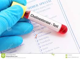 Cholinesterase