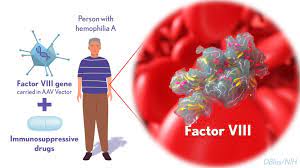 Factor VIII