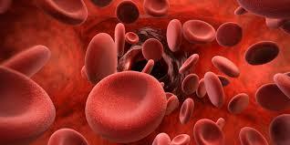 Haematology