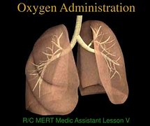 Oxygen Administration Fees